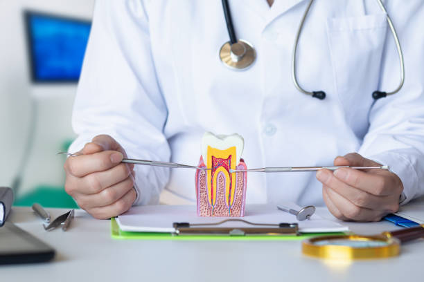 Best Knocked-Out Tooth (Avulsed Tooth) Treatment in Tracy City, TN